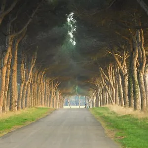 Pigreco Coltano